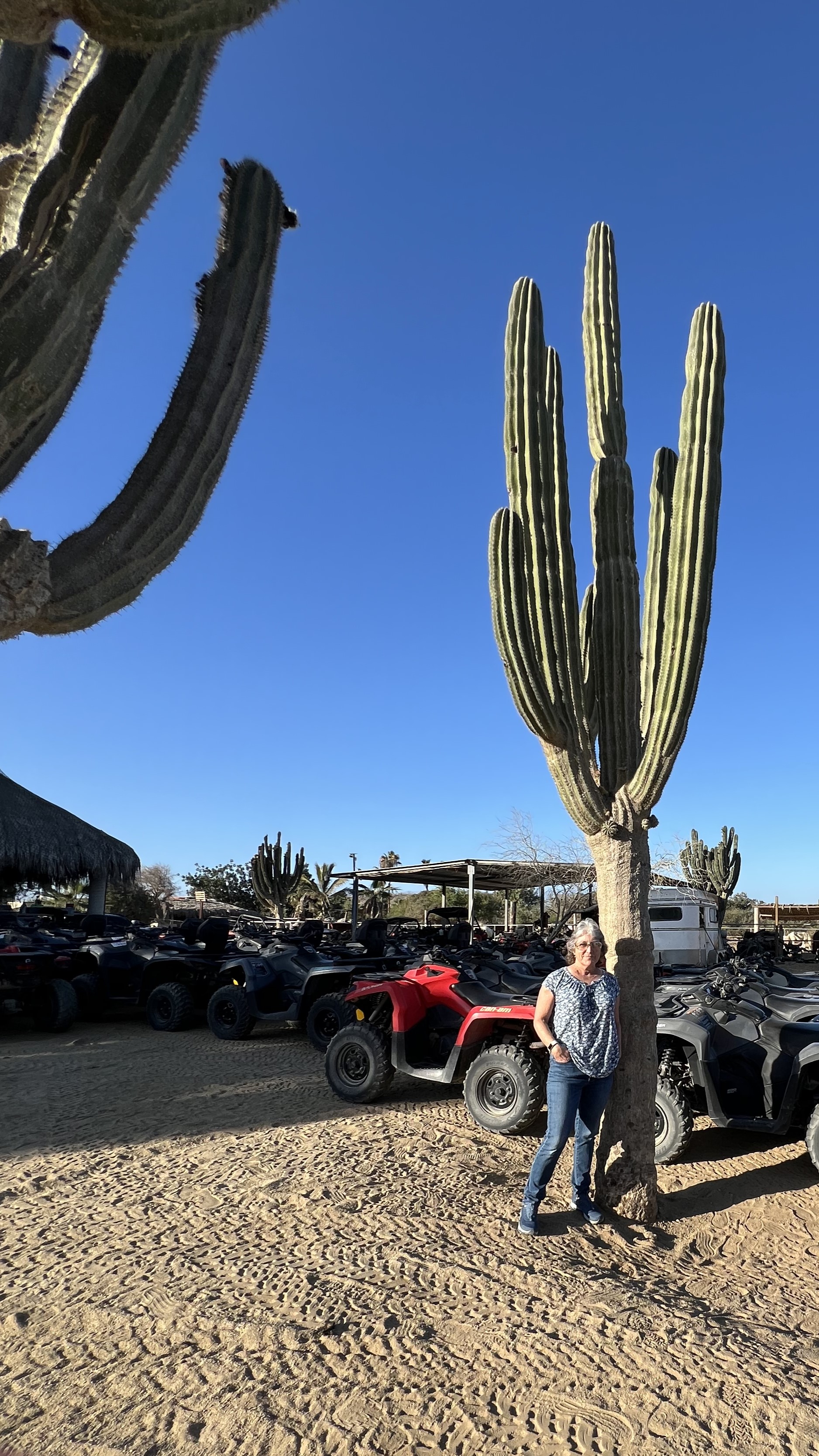 ./2024/13 - Cabo/IMG_4363.jpg